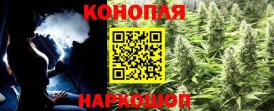 гидра Туймазы
