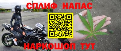 прущие грибы Тулун
