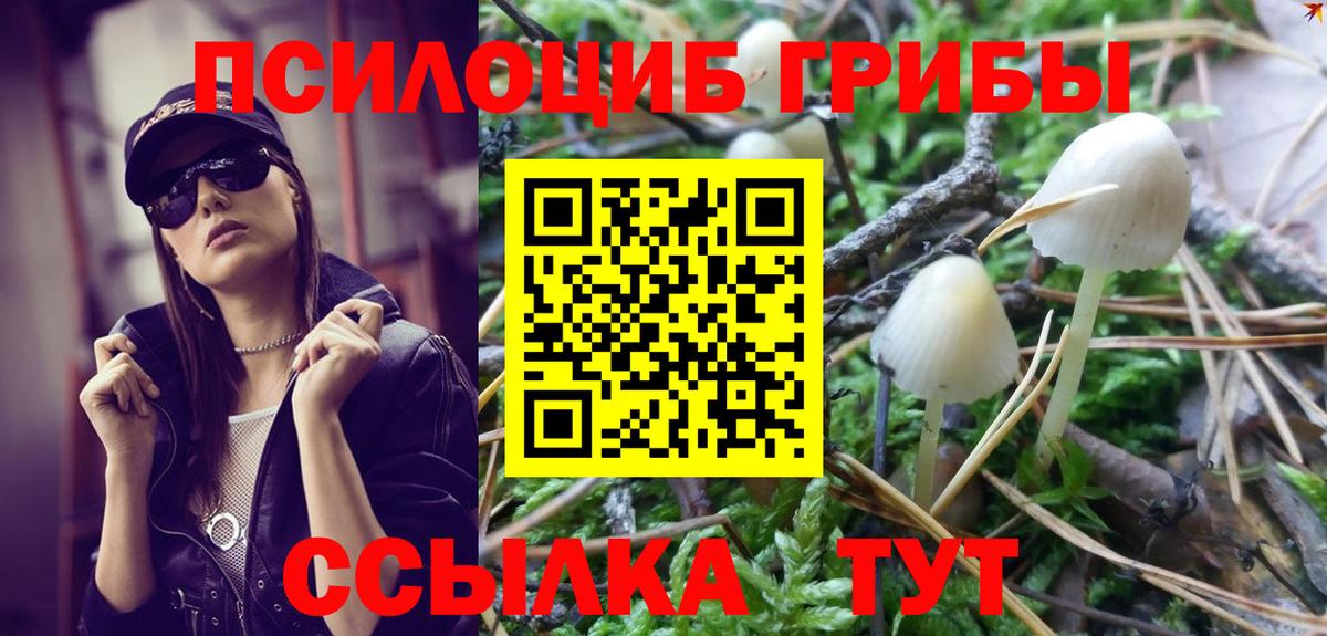 где можно купить наркотик  Галлюциногенные грибы Cubensis  Нижнеудинск  Вход с VPN  Галлюциногенные грибы Psilocybe 
