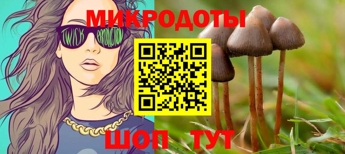 Псилоцибиновые грибы ЛСД Нижнеудинск